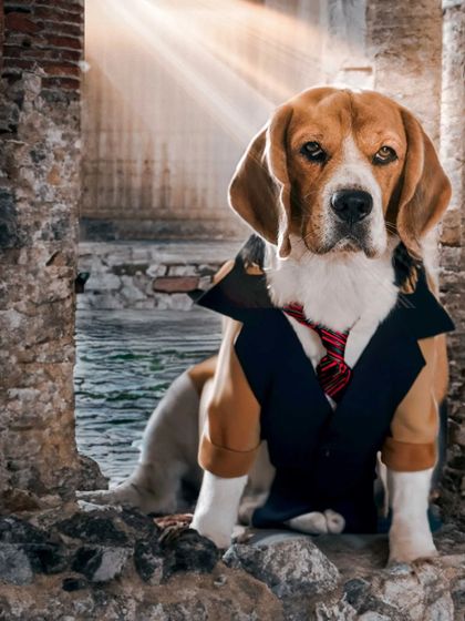 Let's have some fun! Using a little bit of digital magic, I can place your pet in a whimsical, adventurous scene. Here, my own baccha Scamp becomes a dapper adventurer, showing how we can create a one-of-a-kind fantasy portrait.