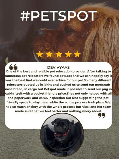 Words from Our Fur-Families photo 11