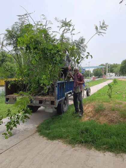 Another shot from our charitable project, with our team on-site with a tractor full of saplings. We believe in making a positive environmental impact through our work.