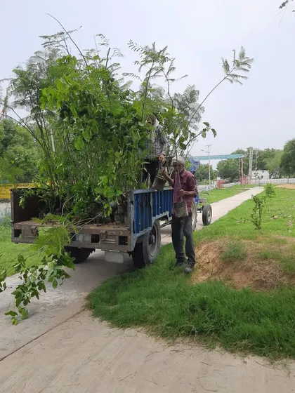 Another shot from our charitable project, with our team on-site with a tractor full of saplings. We believe in making a positive environmental impact through our work.