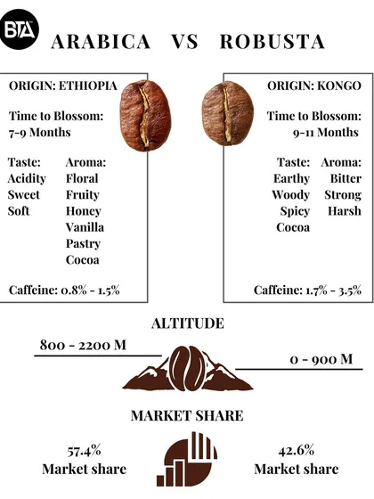 A detailed infographic comparing Arabica and Robusta beans, covering their origin, taste, caffeine content, and market share.