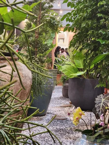 Plants, plants, and more plants. Because when it comes to greenery, the more, the merrier. Our nursery is a testament to that philosophy, a place where you can get lost in the foliage.