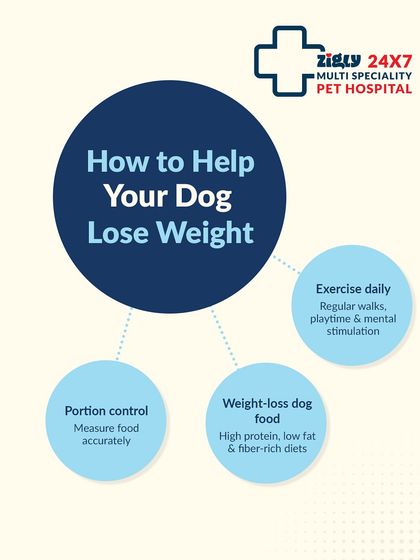 Zigly - Veterinary Services Pet Parent Resources & Tips photo 21