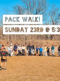 Pack Walks