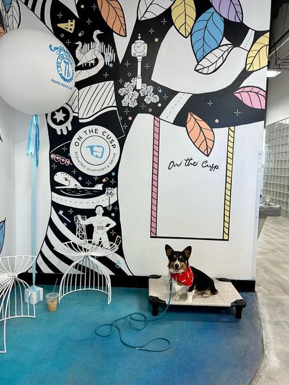 Tulsa Dog Trainer - Immersive Board & Train Programs Real-World Training & Socialization photo 9