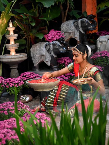 Greenhouse - Living Botanical Art & Arrangements Our Store & Festive Celebrations photo 5