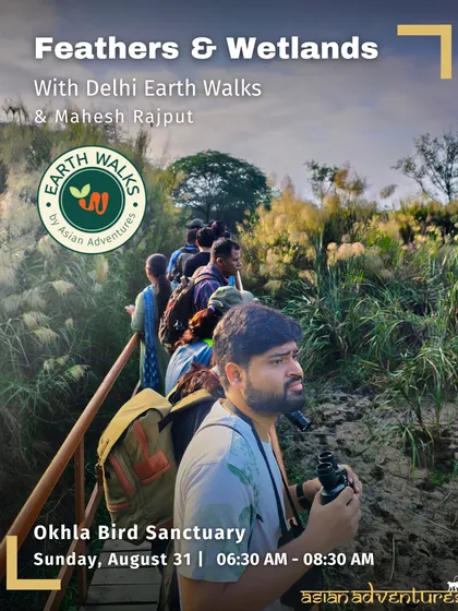 Participants on our "Feathers & Wetlands" walk explore the Okhla Bird Sanctuary. Our trails take you through diverse urban ecosystems, from lush wetlands to dense forests, offering a refreshing escape and a chance to see the city's wild side.