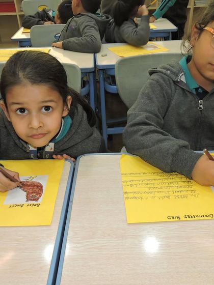 Students work on their animal care projects in the classroom, drawing and writing about endangered species to deepen their understanding and empathy.