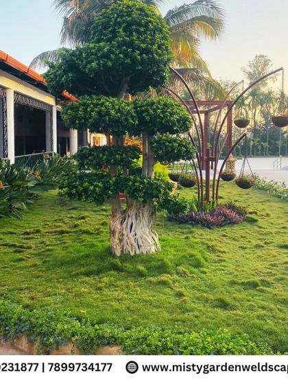 The details make the design. This beautifully sculpted bonsai tree serves as a living centerpiece in a luxury villa's landscape, showcasing our commitment to creating unique and artistic green spaces that feel personal and elegant.