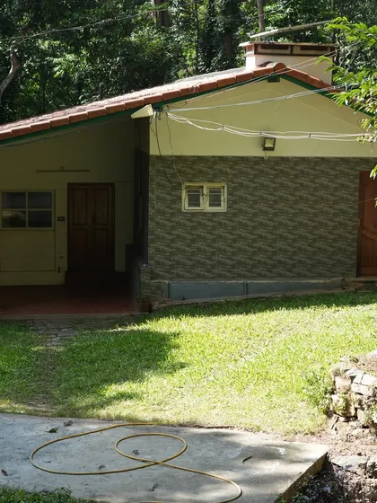 A simple, well-maintained lawn provides a beautiful and functional space in front of this charming cottage-style home.