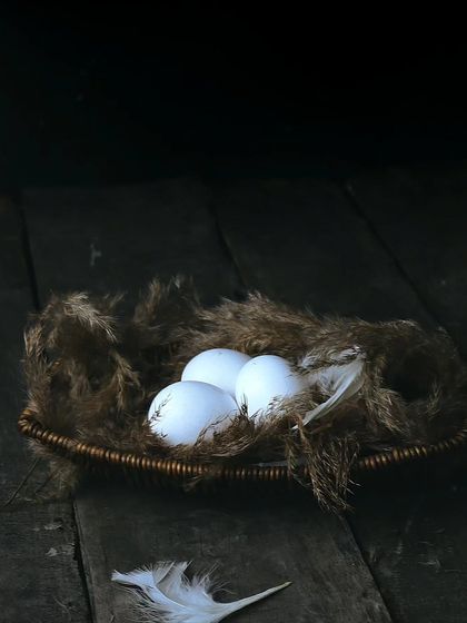 Food & Beverage Imagery photo 14