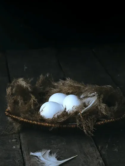 A wider view of the eggs in a nest, set against a dark, wooden background to create a dramatic, still-life effect.