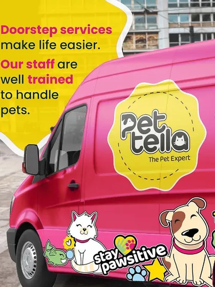 Our brightly colored van is more than just a vehicle; it's a fully equipped, mobile pet service station. We bring everything needed for grooming or transport directly to you, making pet care easier and more convenient than ever.