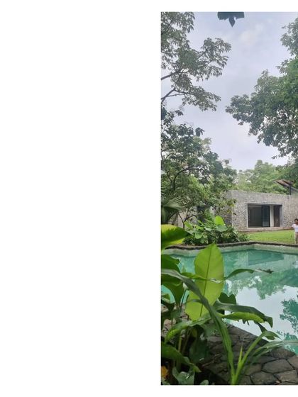 A quiet corner of the 'House in a Grove'. The home is barely visible, hidden within the landscape it was designed to celebrate.