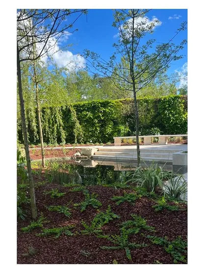 The garden seen from a slightly different angle, showcasing the layers of planting. Low groundcover gives way to taller grasses and shrubs, with a backdrop of established trees, creating a sense of depth and enclosure.