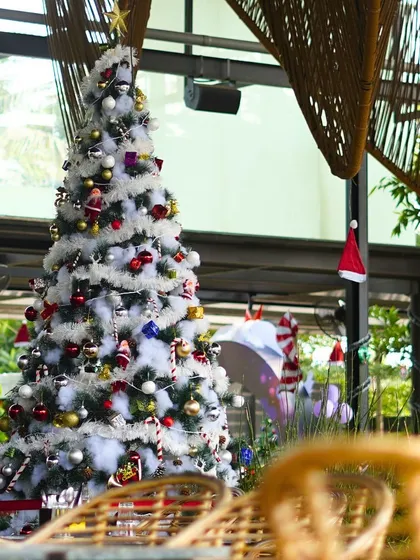 When the holidays arrive, my place transforms into a festive wonderland. A beautifully decorated Christmas tree stands tall in our main hall, setting the mood for season's greetings.