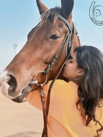 A quiet moment of connection between a rider and her horse. I believe in fostering a bond of trust and affection, which is at the heart of the equestrian experience I provide.