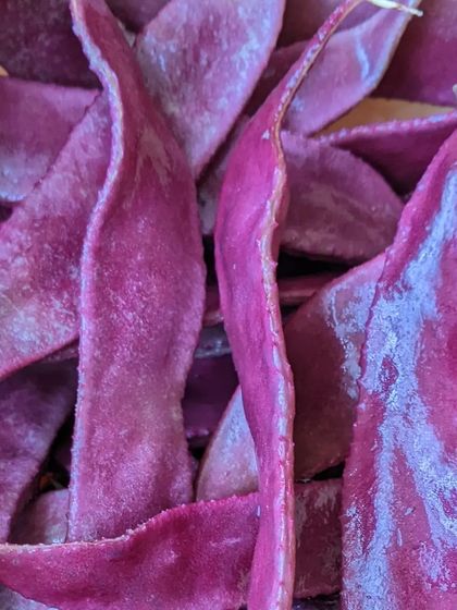 Hastam Montessori - Montessori Lab Access for Homeschoolers Beyond the Classroom: Play & Nature photo 12