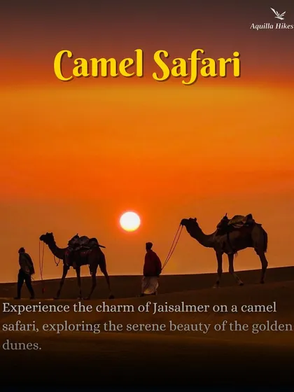Experience the timeless charm of Jaisalmer with a camel safari across the golden dunes as the sun sets. It's a classic desert experience that we include in our trip.