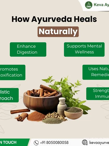 My practice is built on the holistic principles shown here. I focus on enhancing digestion, promoting detoxification, strengthening immunity, and supporting mental wellness using natural remedies to treat the whole person, not just the symptoms.