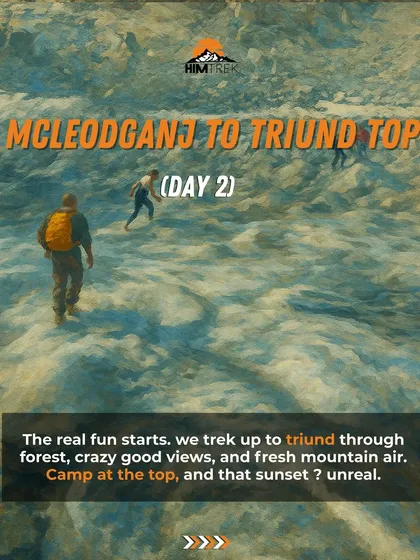 Day 2 of Moon Peak: The real fun starts as we trek up to Triund through the forest for an unreal sunset.