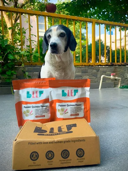 This beautiful senior dog is enjoying the Paneer Quinoa Pawer. His parent notes it boosts energy, promotes a shinier coat, and improves digestion.