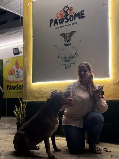 A sweet lick from the Pitbull to her owner. A moment of pure affection.