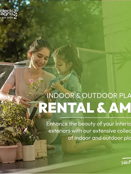 We offer indoor and outdoor plant rentals with Annual Maintenance Contracts (AMC). Enhance the beauty of your interiors and exteriors with our extensive collection of plants.