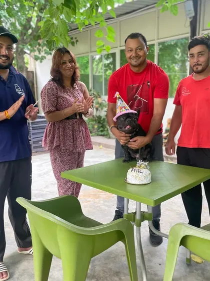 Celebrating a dog's birthday with his family and our team. We love hosting these special occasions.