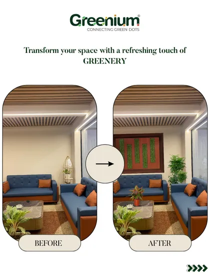 This before-and-after shows a living room where I added a framed moss art piece and several potted plants. These additions bring color, texture, and a natural element to the existing decor.