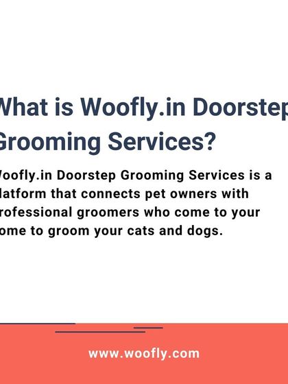 Woofly - At-Home Pet Grooming Services, Pricing, and FAQs photo 3