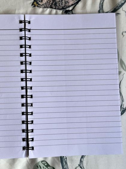 Shraddhadoodles - Custom Art & Merchandise Notebooks & Planners photo 16