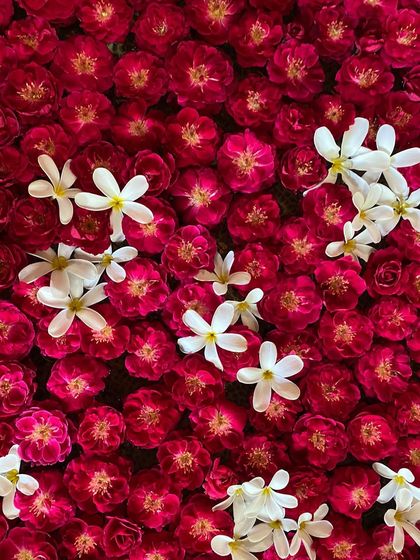 Artistry in Detail: Decor & Ambiance photo 8