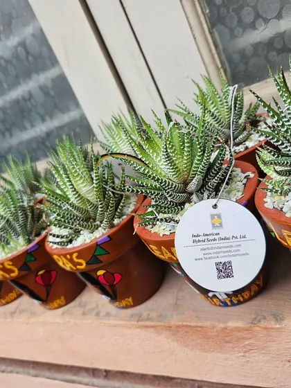 A close-up of our branded tag on a custom-painted pot. We partner with local artists to create unique products, combining beautiful plants with creative craftsmanship.