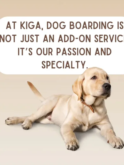 At Kiga, dog boarding is not just an add-on service. It's our core passion and specialty, built on years of experience in dog behavior.