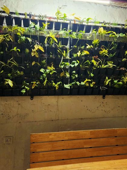 Delhi Gardner - Full-Service Landscaping Urban Green Spaces: Balconies, Terraces & Vertical Gardens photo 7