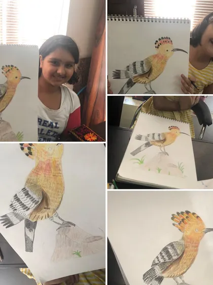 I am so proud of the incredible detail my students achieved in these Hoopoe bird drawings. We focused on pencil coloring and shading techniques to capture the texture of the feathers and the bird's unique features, and the results are just amazing.