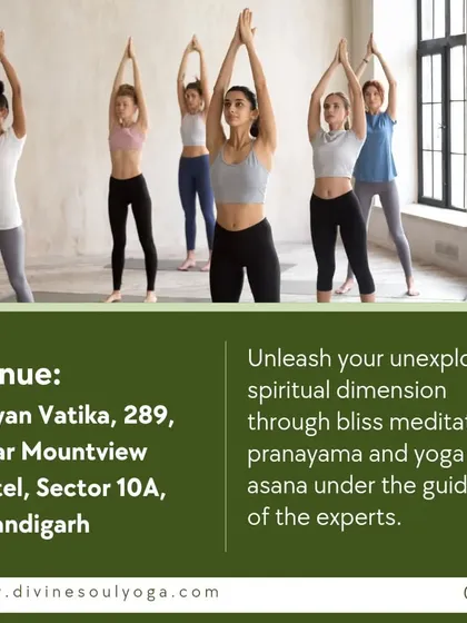 Our workshops are held in serene and accessible locations like Dhyan Vatika in Chandigarh. Here, you can unleash your spiritual dimension through guided meditation, pranayama, and yoga asana.