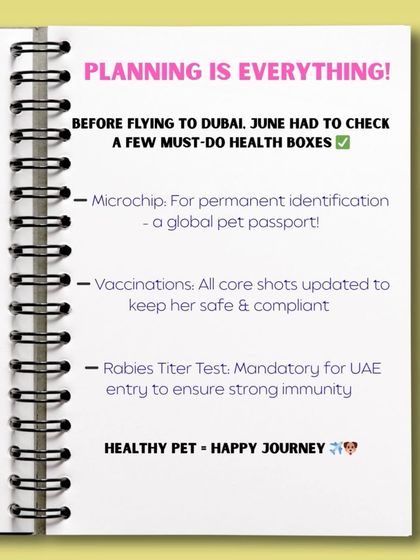 Global Paws: Asia, Africa & Beyond photo 10