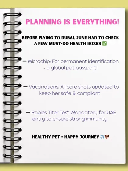 Planning is everything for a move to Dubai! This checklist shows the mandatory health requirements for UAE entry, including microchip, vaccinations, and a rabies titer test, all of which I handle.