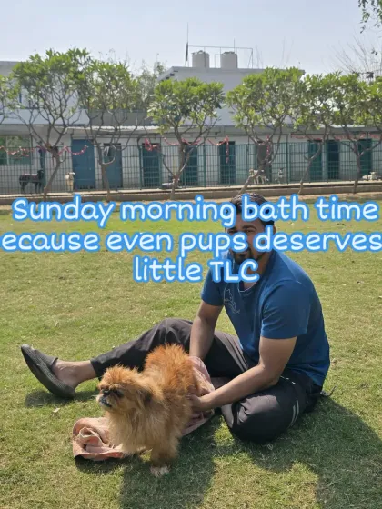 Here I am with a lovely Pekingese after his Sunday morning bath. A little TLC in the open air is the perfect way to make any 'bachha' feel fresh and happy.