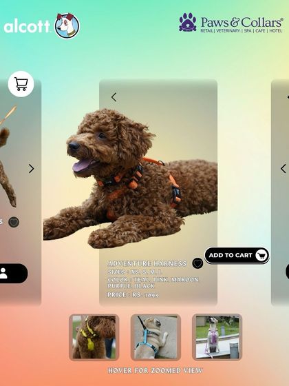 PawsnCollars - Pet Supplies Adventure & Walking Gear photo 12