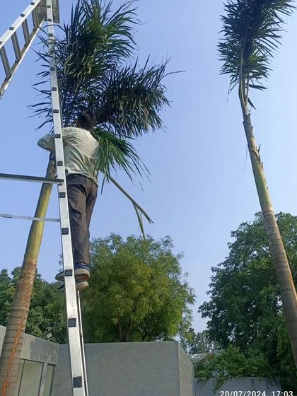 Greenium - Outdoor Landscaping & Garden Design Farmhouse & Villa Landscapes photo 12