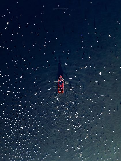 A top-down drone shot of a lone red boat surrounded by seagulls at Yamuna Ghat in Delhi. The deep blue water and the scattering of birds create a simple, beautiful, and peaceful composition.
