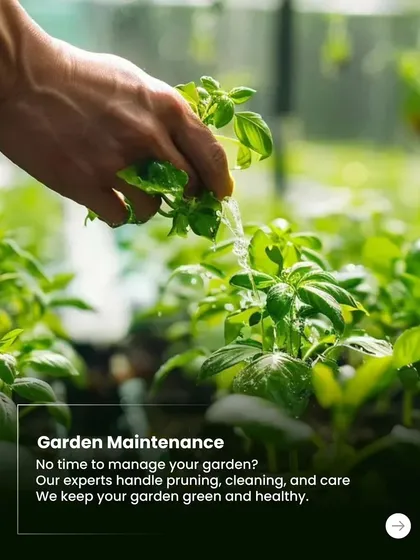 Don't have time to manage your garden? Our experts handle the pruning, cleaning, and comprehensive care needed to keep your garden green and healthy.