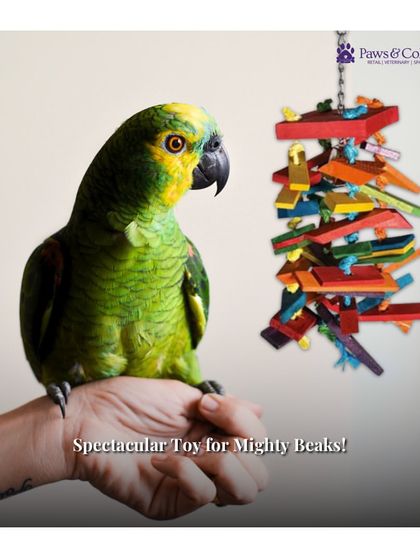 PawsnCollars - Pet Supplies Playtime & Enrichment Toys photo 10