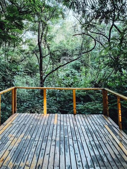 A wooden deck overlooking the lush forest, one of many quiet spots to sit and connect with nature.