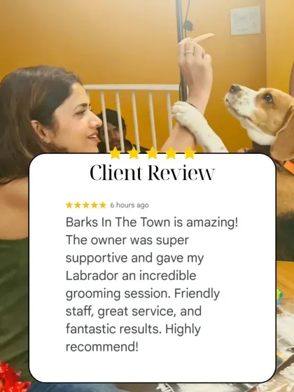 An amazing review from a Labrador owner. They loved the supportive owner, friendly staff, and fantastic results. We strive to provide great service every time.