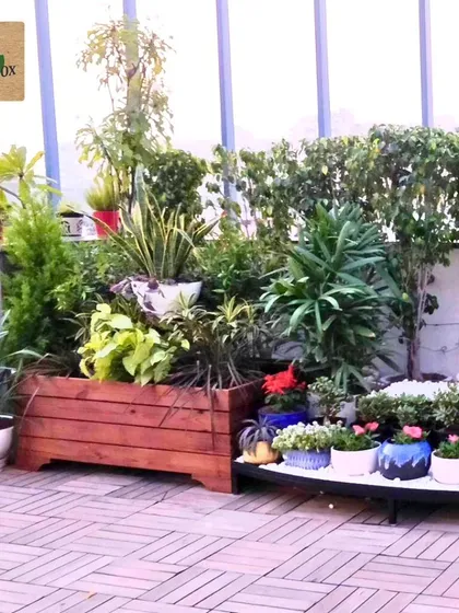 Even a simple corner of a terrace can become a beautiful green nook. Here, we used a combination of wooden planters and ceramic pots of various sizes to create a dense, multi-layered arrangement of foliage and flowering plants.