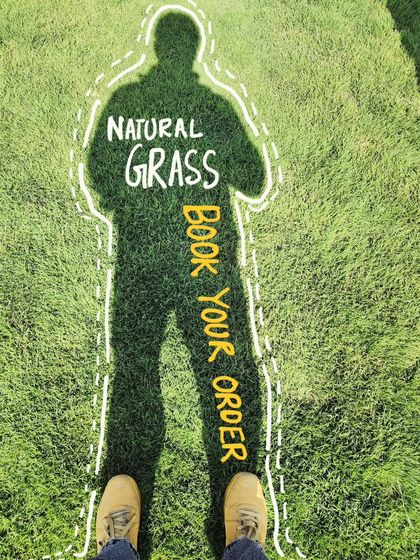 Delhi Gardner - Full-Service Landscaping Premium Lawn & Turf Solutions photo 28